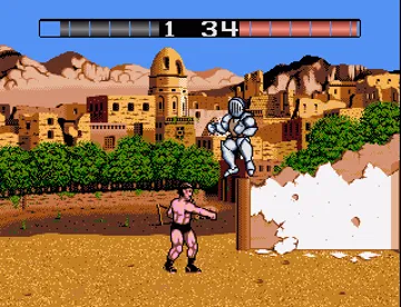 Fist Fighter screen shot game playing